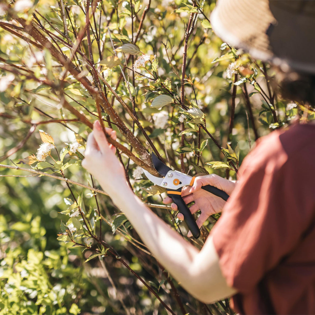 Poda de plantas con tijeras bypass
