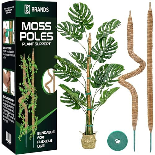 Tutor flexible de fibra de coco para monstera en maceta