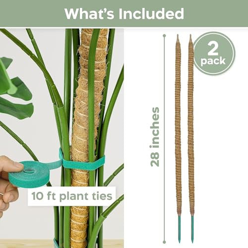 Tutores de fibra de coco con lazos para plantas